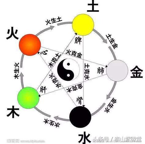 中五行|中字的五行属性